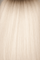 NICE- LIGHT ROOT